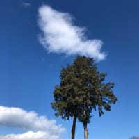 草花公園