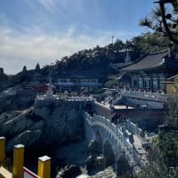 大満足釜山🇰🇷