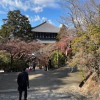 休みだから奈良へ