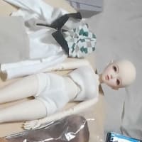 ちっちゃい子　お試し　お迎え