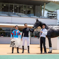 一口馬主クラブの愛馬上半期成績