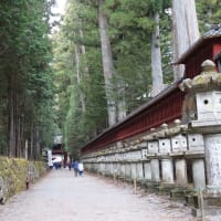 下野（９）日光二荒山神社
