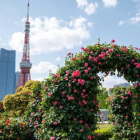 高輪から芝へ。