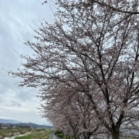 散る桜　残る桜も　散る桜