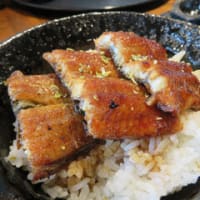 三重県の鰻屋「４代目菊川」