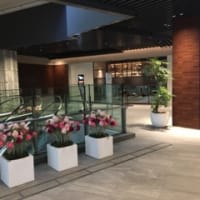 ジェネリックに変えた。無事です。