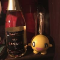 札幌北区の占いの父ー 夢占館（ゆめせんかん）の石原聖山(いしはらせいざん）が貴方の 『(令和7年) 202５年！！干支、乙巳（きのとみ）』 を的確に占う！2025年６月10日（火）