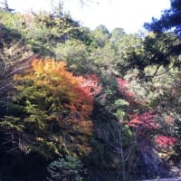 熊野本宮大社と玉置神社参拝