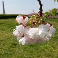 読書通帳2025年💐4月