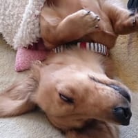 白目・・・・？