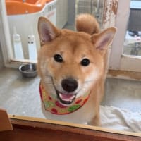 5日(土)可愛いフェアリーさん♬NO.4♪