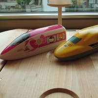 273系やくも～孫たちと一緒に