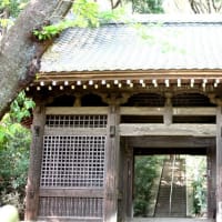 「東京のおへそ・国分寺」を巡る散歩