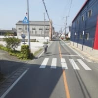 プロの仕事