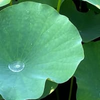 メーカーのせいですぐレガシー化に追い込まれる