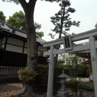 １５日を迎えて、野見神社にお参りしました。