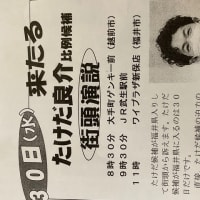 明日29日、田村智子副委員長、30日には　たけだ良介比例代表候補が越前市、福井市で訴えます‼️ぜひお聞きください。