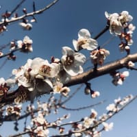 久しぶりの投稿です