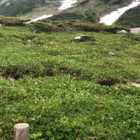 雷鳥荘には声だけですが