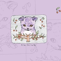 14年10月23日 デスクトップ壁紙 ハロウィン猫 さいはてりとのギャラリー 14年10月23日 デスクトップ壁紙 ハロウィン猫 さいはてりとのギャラリー