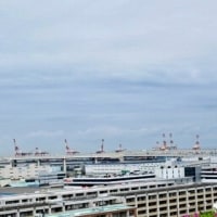横浜港の見える丘公園散策