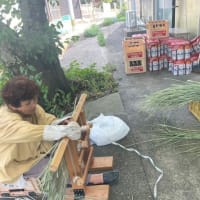 精霊こも