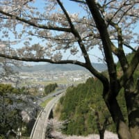 桜の園～その2