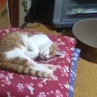 あれから一年