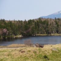 春の北海道・知床（しれとこ）