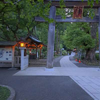 初夏の夕暮れ、境内に