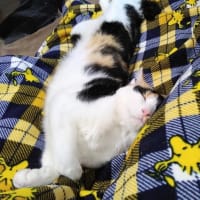 待ってたよ♪