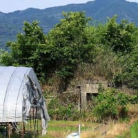 大和海軍航空隊大和基地　跡（奈良県）