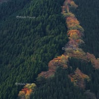 浮かび上がる尾根筋