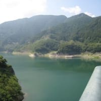 分科会3「環境：浦山ダムにみる人と自然の共存」の担当者からのメッセージ
