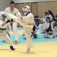 空手道新武会　２０２４組手競技新人戦大会