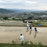棚田にて
