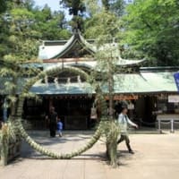 くぐってきたよ