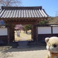 小幡陣屋(2025年4月)