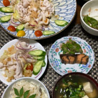 おろし冷しゃぶサラダ