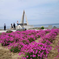 2014-06-28【北の大地へ☆北海道（紋別～宗谷岬～ノシャップ岬～稚内～サロベツ原生花園～中川町）】