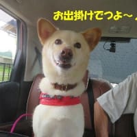 お山のカフェへ♪
