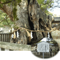 枠の練習