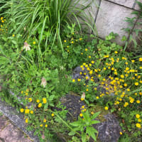 雲上のホテルに泊まりました