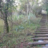 「大平山の登り口④」下見のつもりが‥‥「汗、汗、汗」