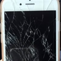病と腸活