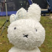 きゃんぷいってきましたー