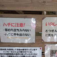 猛暑到来（756回目）
