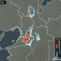 またもや大雨　