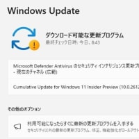 Windows 11 Dev チャンネルに 累積更新 (KB5038603) が配信されてきました。
