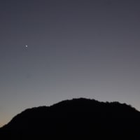 一番星見つけた